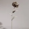 Dalium Flower