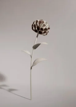Dalium Flower
