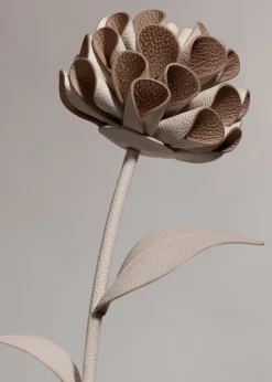 Dalium Flower
