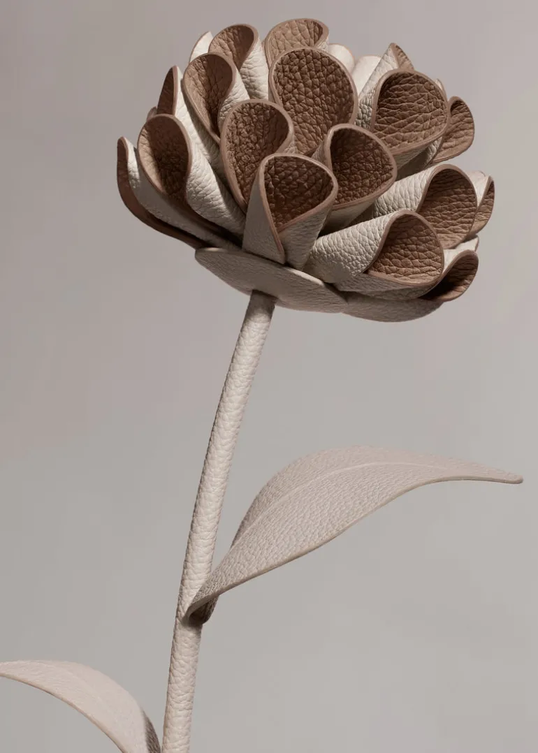 Dalium Flower
