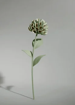 Dalium Flower