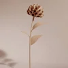 Dalium Flower