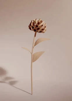 Dalium Flower
