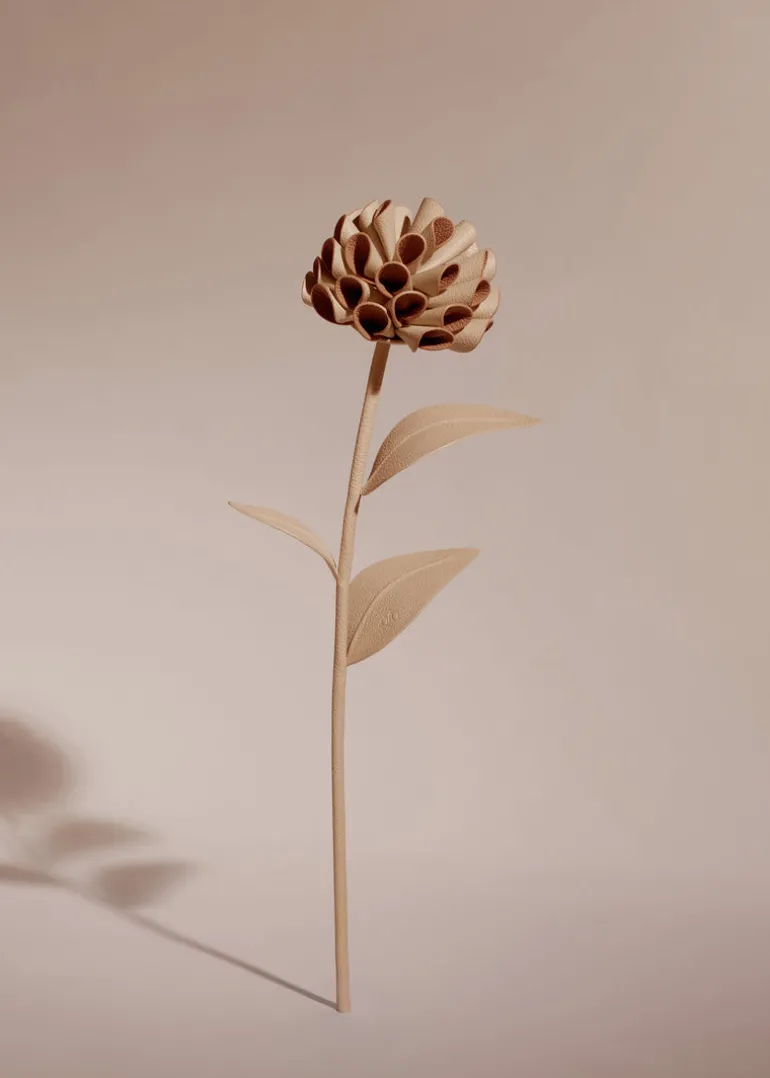 Dalium Flower