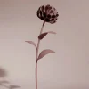 Dalium Flower