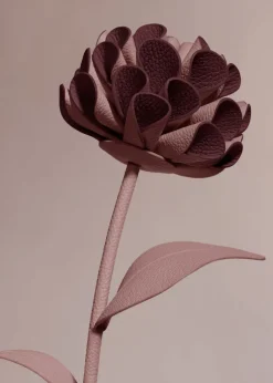 Dalium Flower