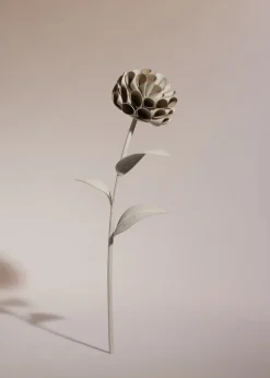 Dalium Flower