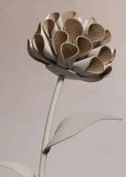 Dalium Flower