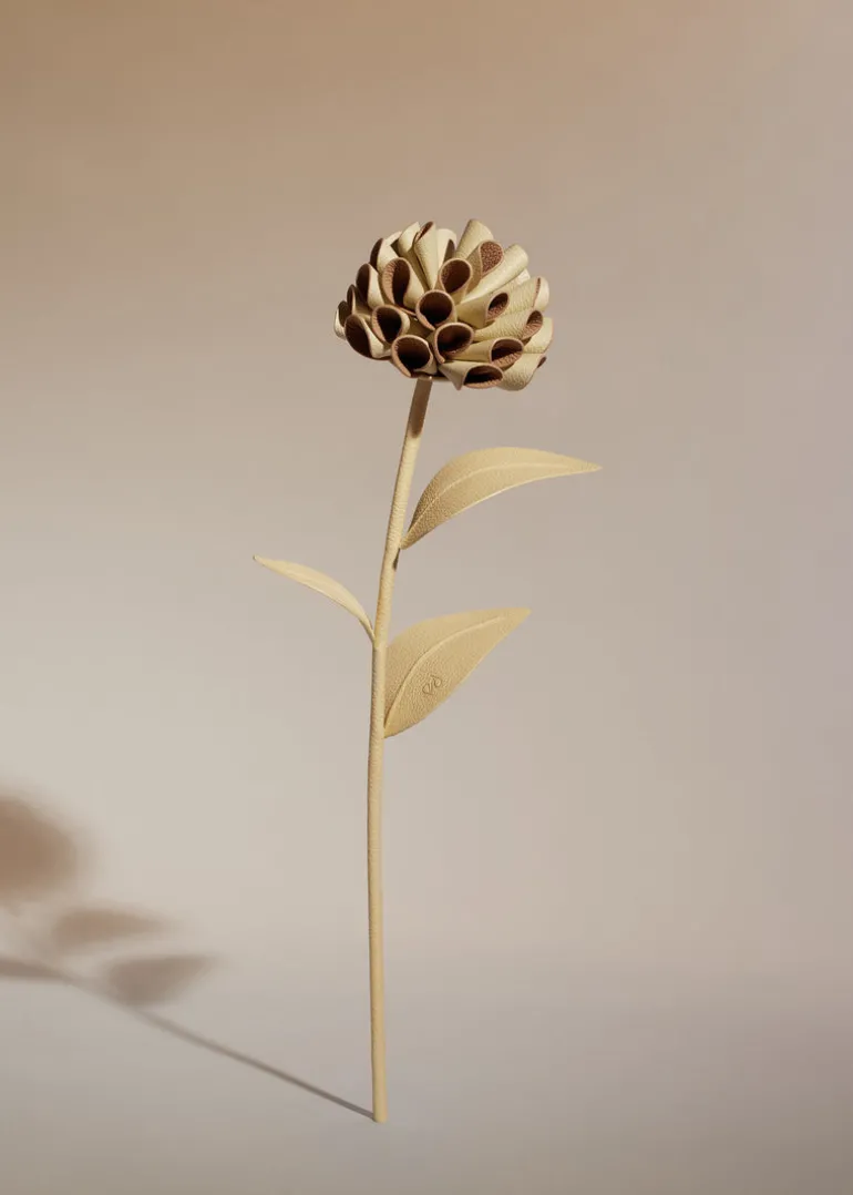 Dalium Flower