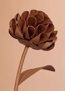 Dalium Flower