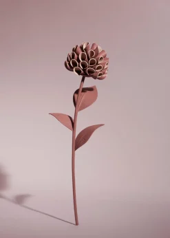 Dalium Flower