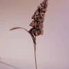 Orki Flower