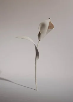 Pili Flower