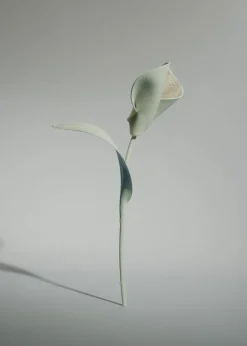 Pili Flower