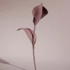 Pili Flower