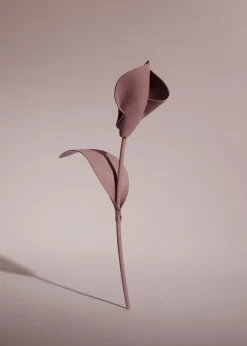 Pili Flower