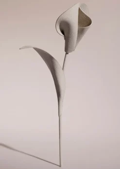 Pili Flower