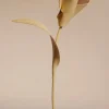 Pili Flower