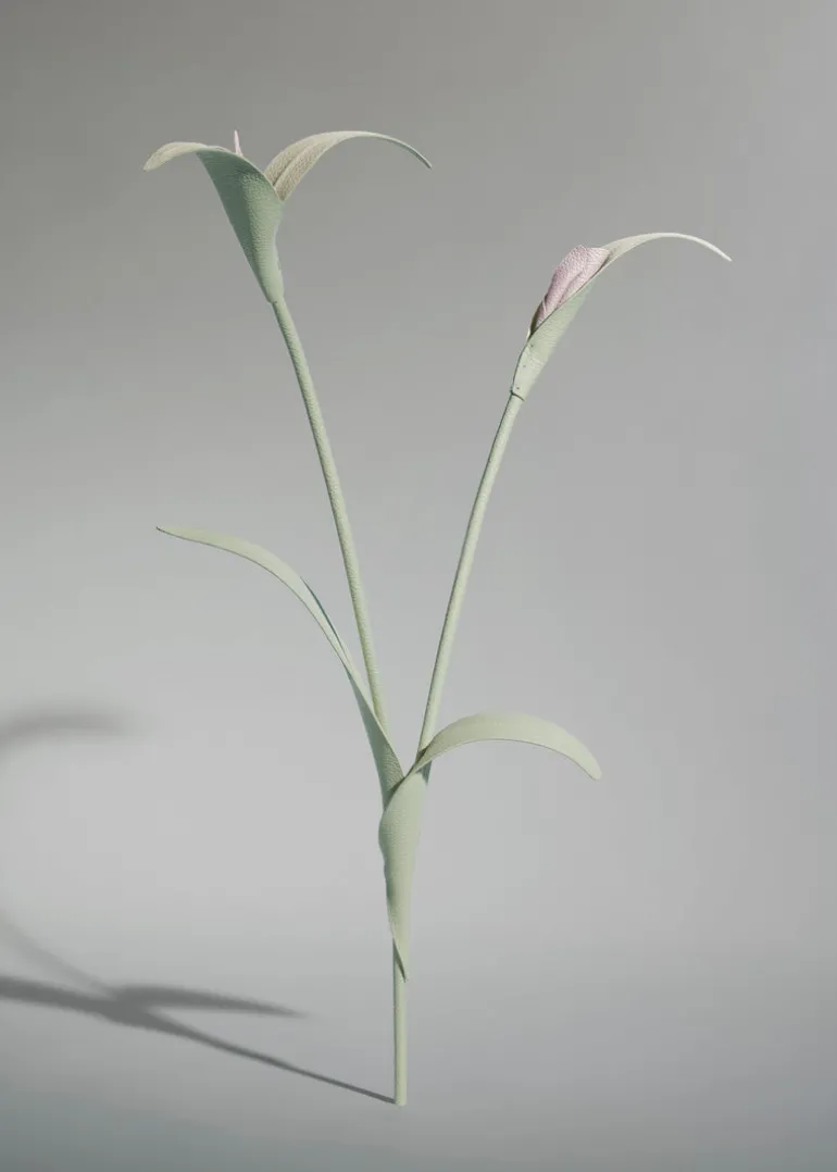 Touka Flower