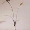 Touka Flower
