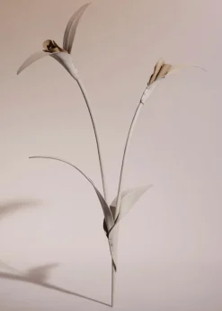 Touka Flower