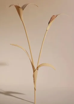 Touka Flower