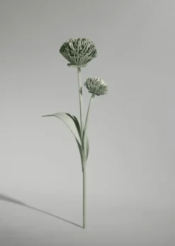 Tul Flower