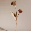 Tul Flower