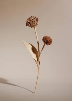 Tul Flower