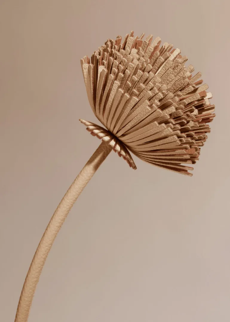 Tul Flower