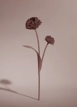 Tul Flower