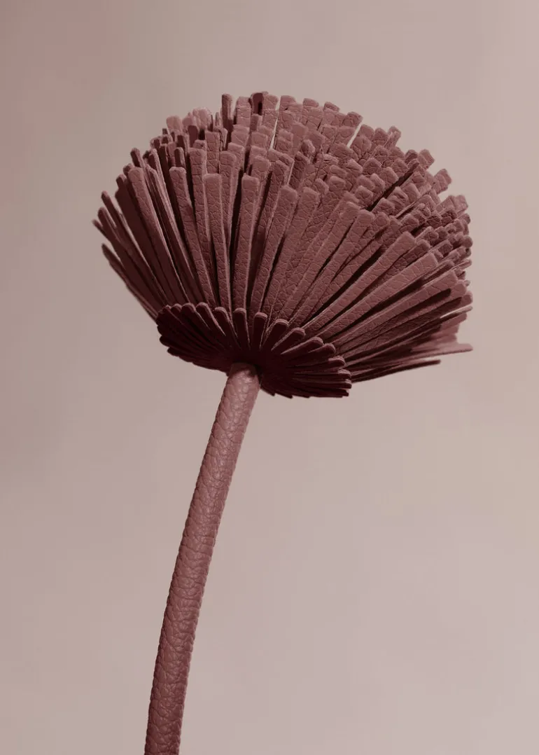 Tul Flower
