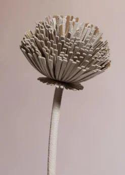 Tul Flower