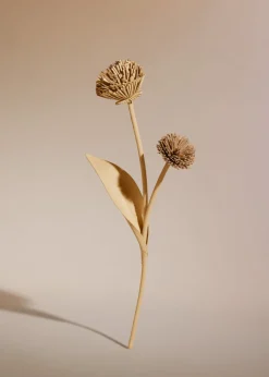 Tul Flower