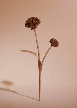 Tul Flower