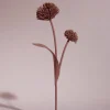 Tul Flower